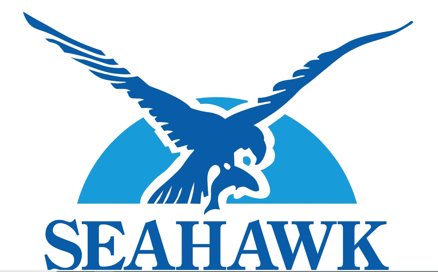 seahawk